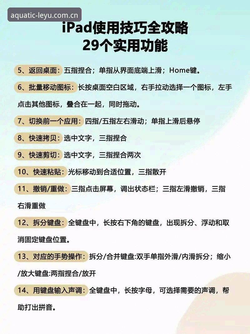 苹果LEYU中国区APP 苹果版LEYU全平台实用指南:从API差异到多端同步的必备知识